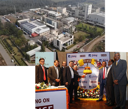 Unfolding Dreams and Whirlwind of Growth